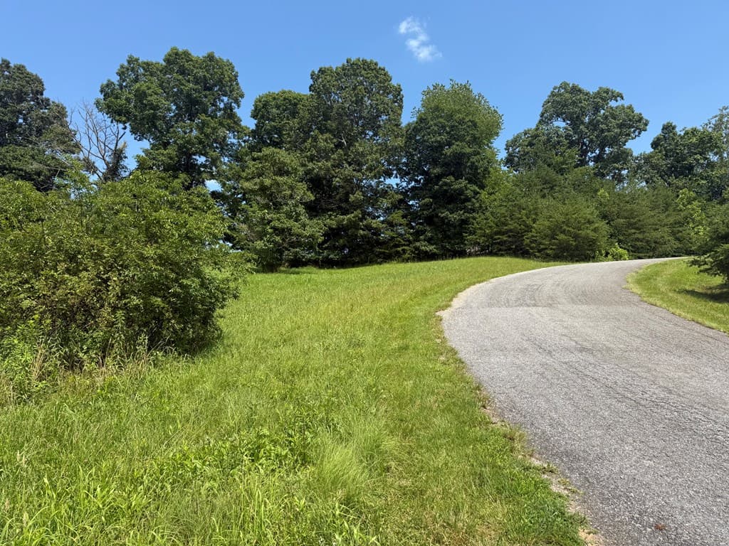 Lot 52 The Preserve At Cc, Young Harris GA 30582 - Photo