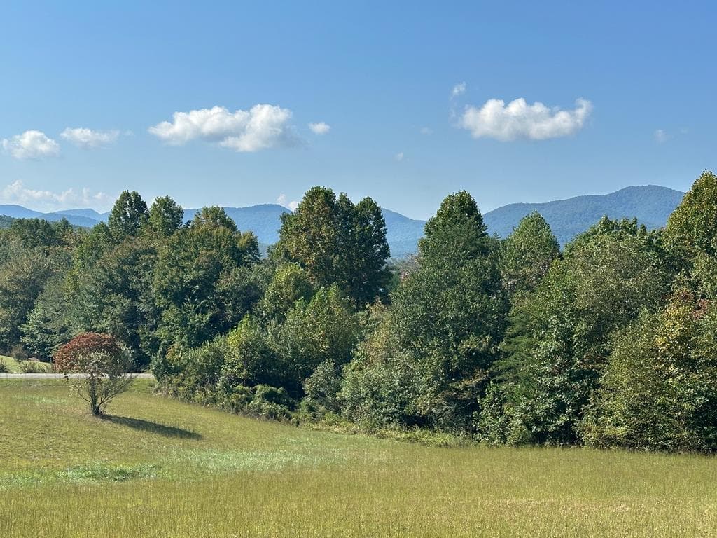 Lot 51 The Preserve At Cc, Young Harris GA 30582 - Photo