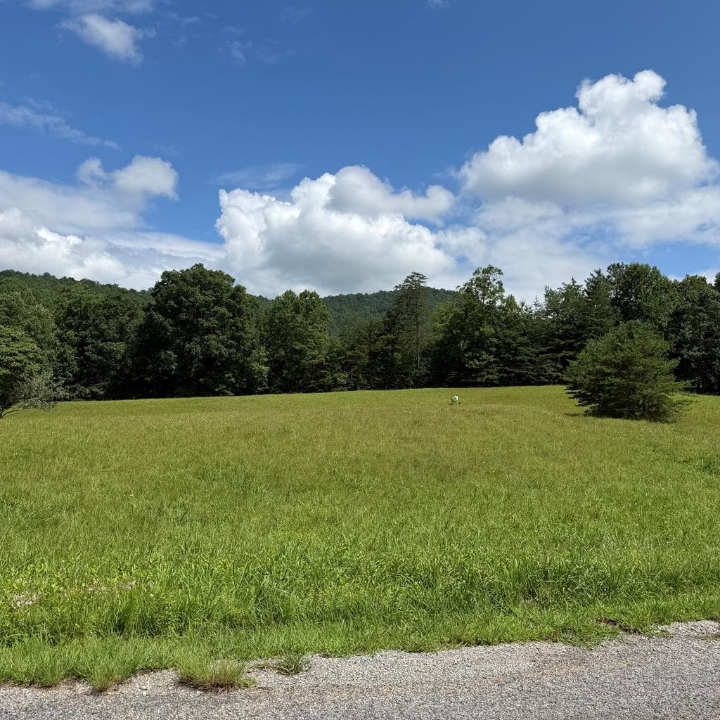 Lot 51 The Preserve At Cc, Young Harris GA 30582 - Photo