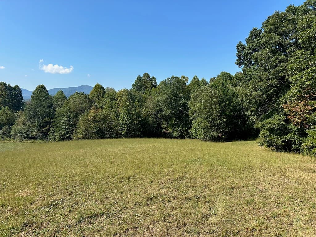 Lot 51 The Preserve At Cc, Young Harris GA 30582 - Photo