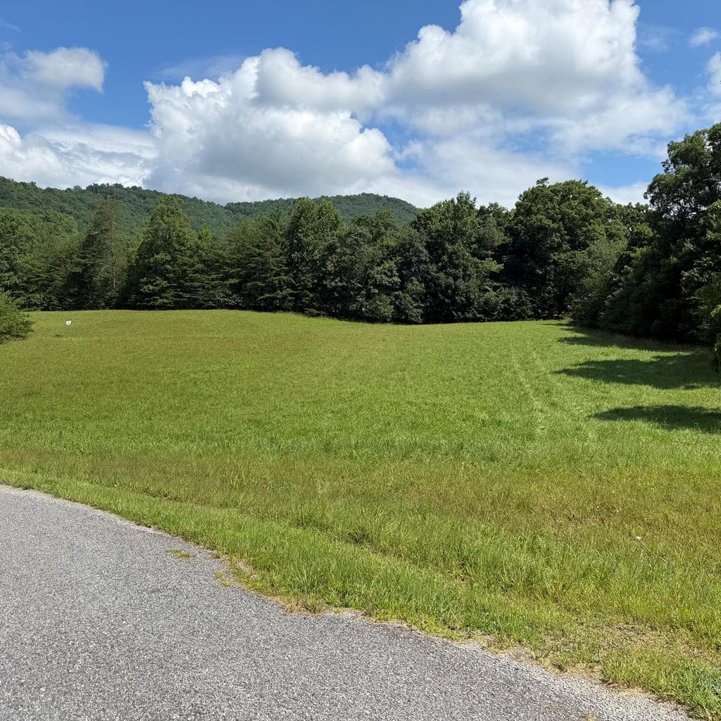 Lot 51 The Preserve At Cc, Young Harris GA 30582 - Photo