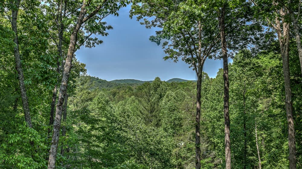 155 Shayla Drive, Blue Ridge GA 30513 - Photo