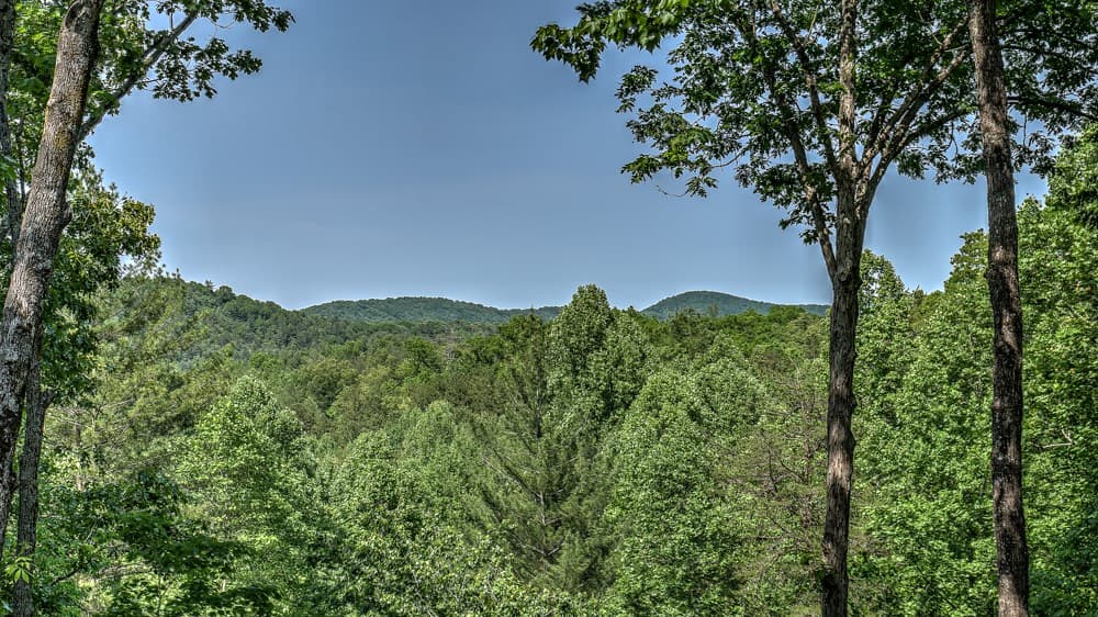 155 Shayla Drive, Blue Ridge GA 30513 - Photo