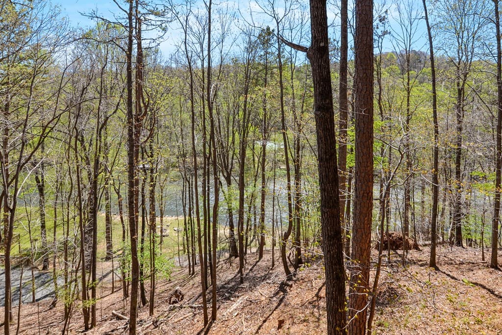 65 Dawn Lane, Ellijay GA 30540 - Photo