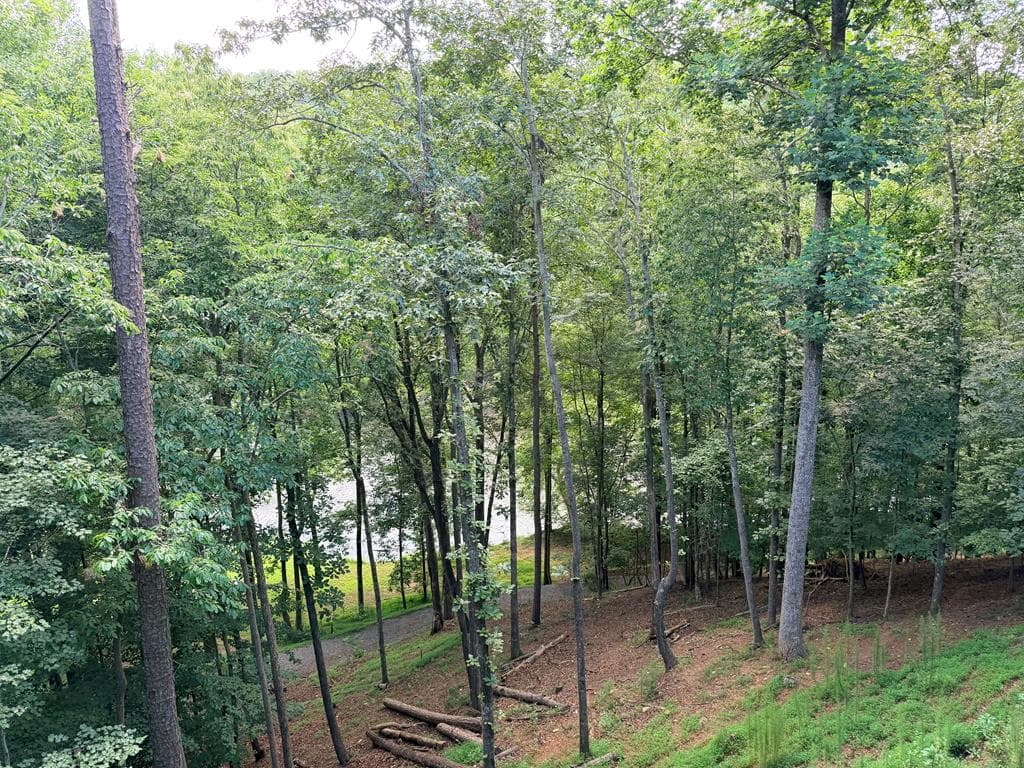 65 Dawn Lane, Ellijay GA 30540 - Photo
