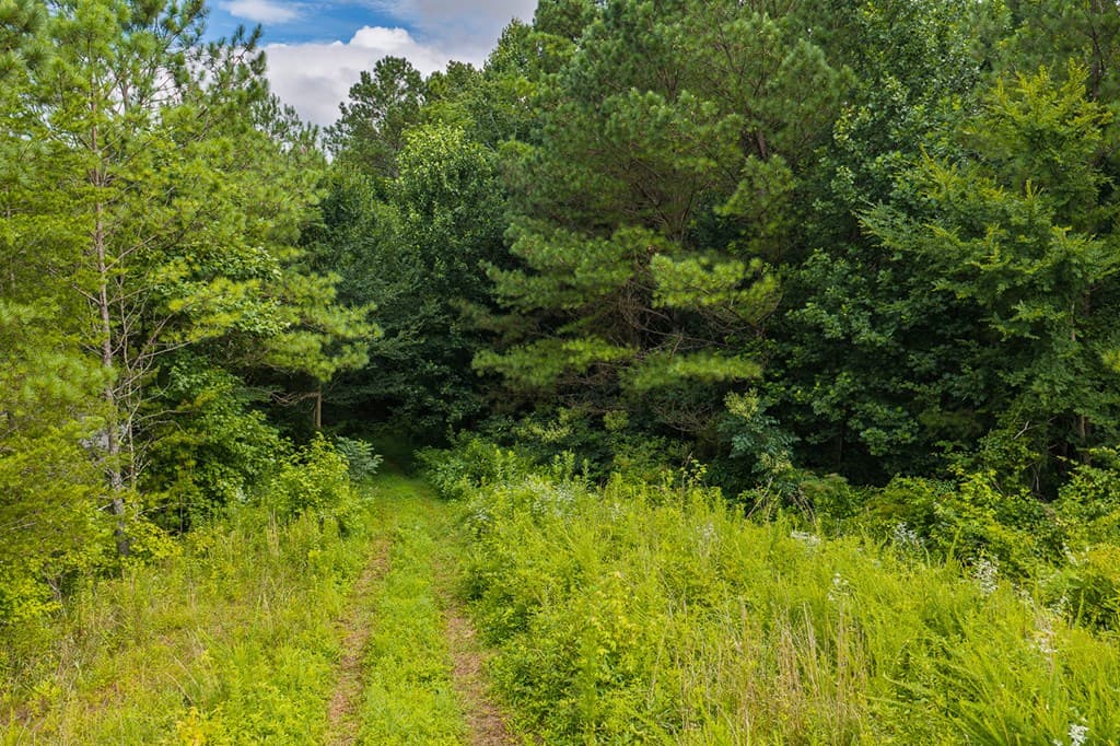 2027 Pleasant Valley Road, Talking Rock GA 30175 - Photo