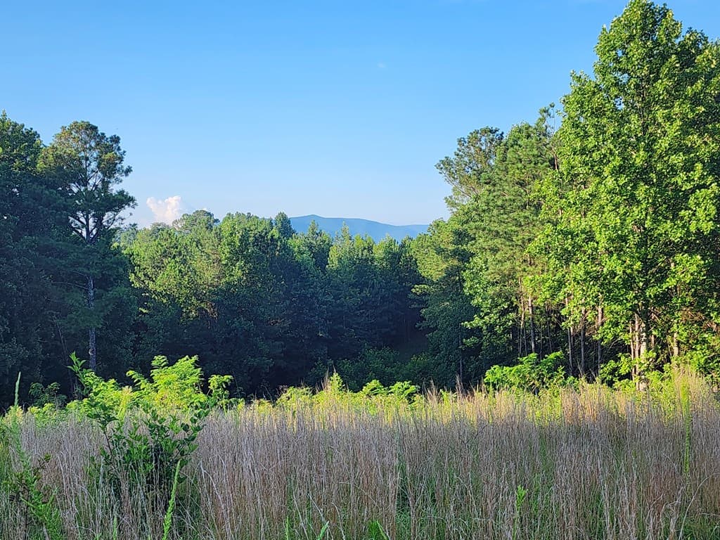 2027 Pleasant Valley Road, Talking Rock GA 30175 - Photo