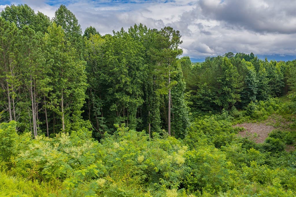 2027 Pleasant Valley Road, Talking Rock GA 30175 - Photo