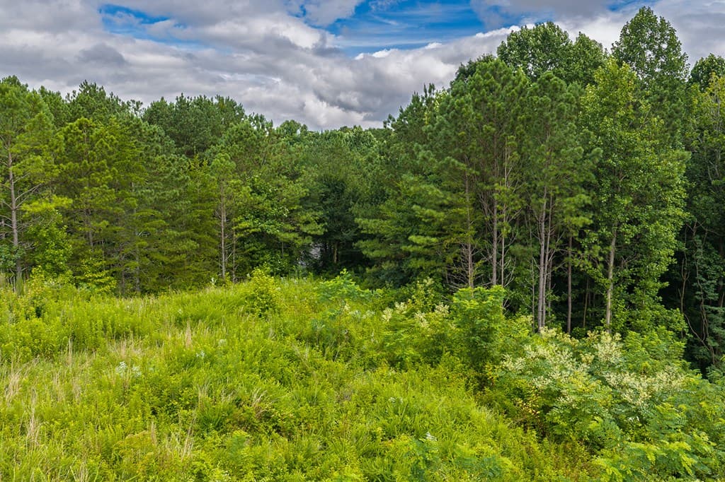 2027 Pleasant Valley Road, Talking Rock GA 30175 - Photo