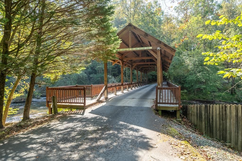 105 Blackberry Falls Court, Ellijay GA 30536 - Photo