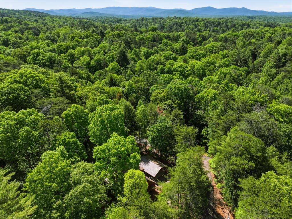 105 Blackberry Falls Court, Ellijay GA 30536 - Photo