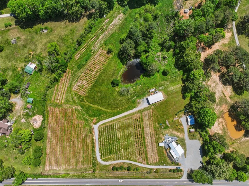 2317 Hwy 382, Ellijay GA 30540 - Photo