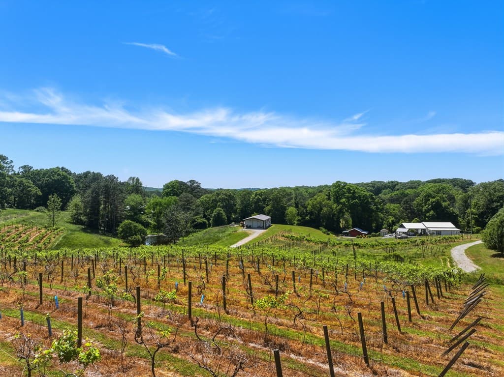 2317 Hwy 382, Ellijay GA 30540 - Photo