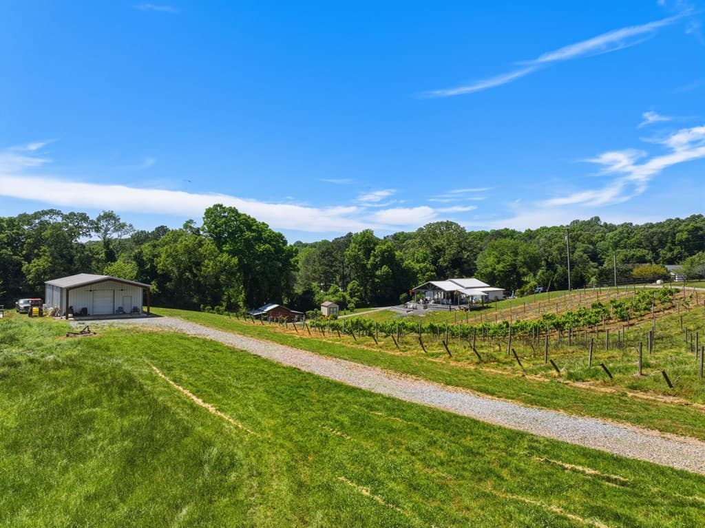 2317 Hwy 382, Ellijay GA 30540 - Photo