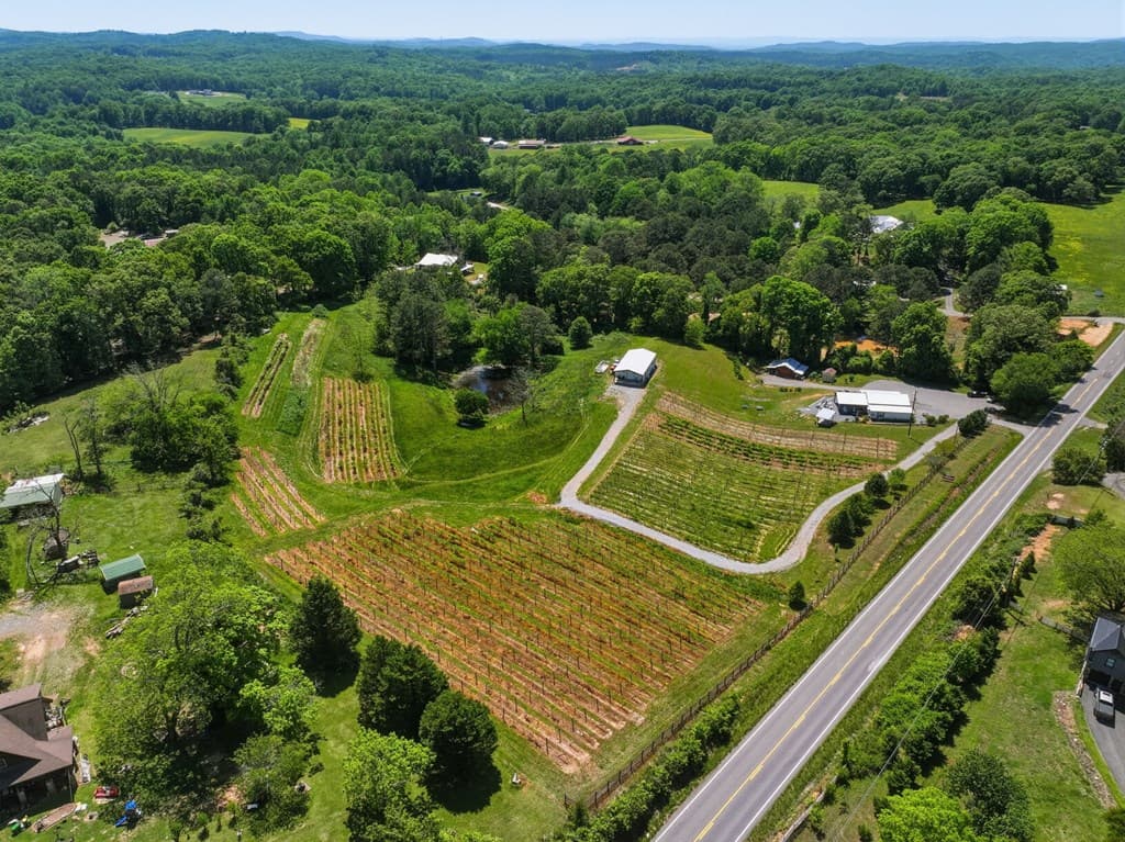 2317 Hwy 382, Ellijay GA 30540 - Photo
