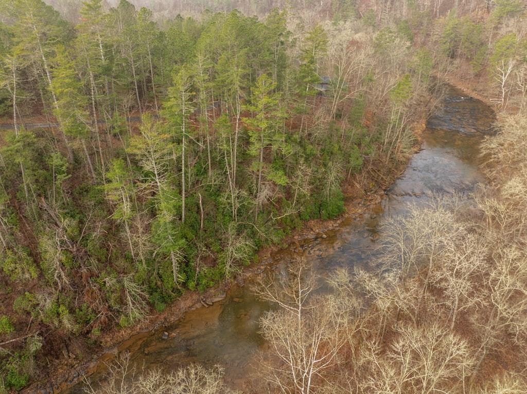 Lot 1742 Meadow Lane, Talking Rock GA 30175 - Photo