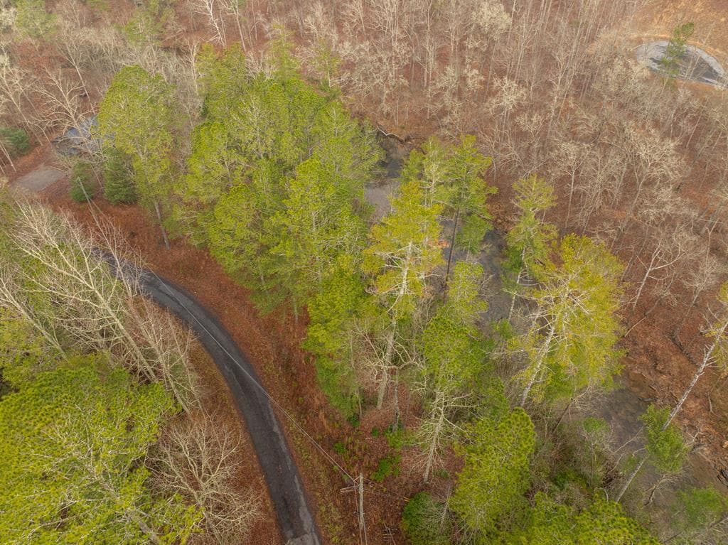 Lot 1742 Meadow Lane, Talking Rock GA 30175 - Photo
