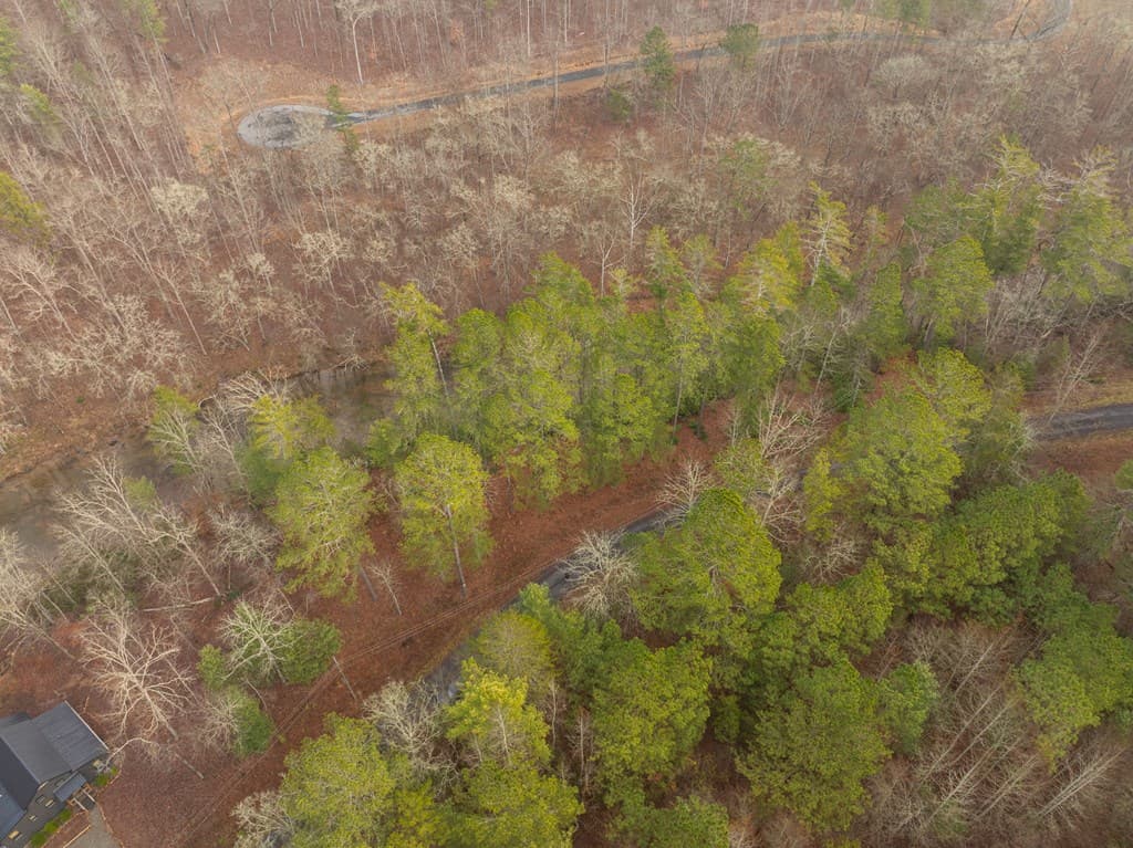 Lot 1742 Meadow Lane, Talking Rock GA 30175 - Photo