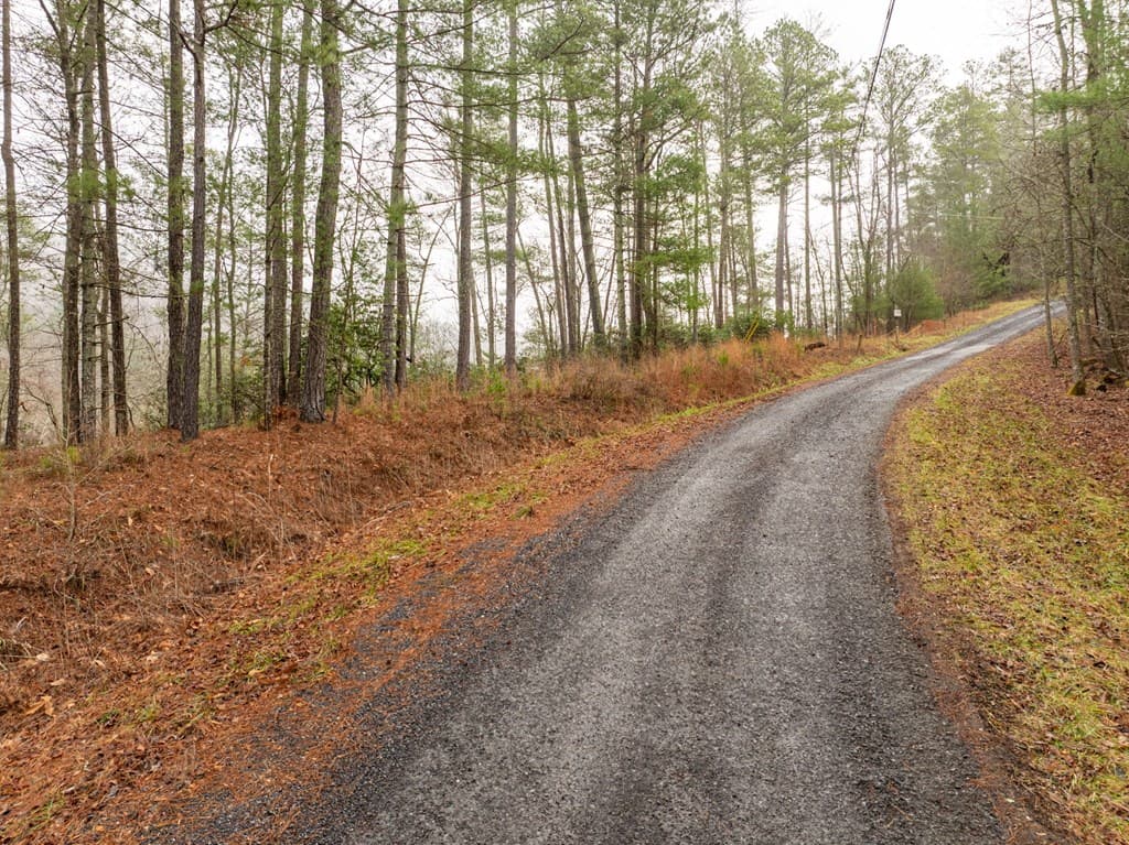 Lot 1742 Meadow Lane, Talking Rock GA 30175 - Photo