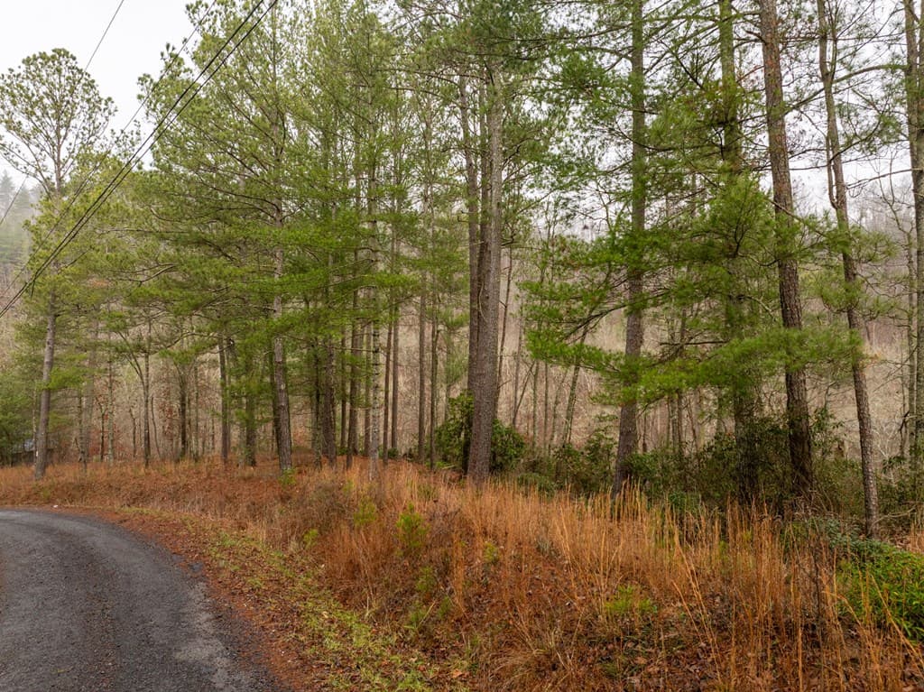 Lot 1742 Meadow Lane, Talking Rock GA 30175 - Photo