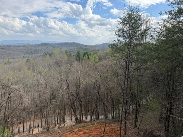 Lot 30 Lookout Drive, Blue Ridge GA 30513 - Photo