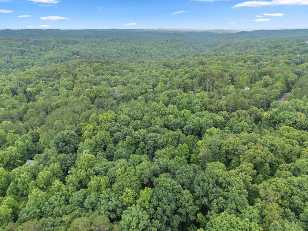 457 Old Cherokee Road, Cleveland GA 30528 - Photo