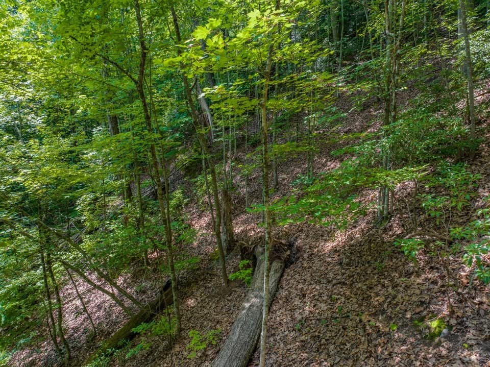 13.01 AC New Stansbury Road, Ducktown TN 37326 - Photo
