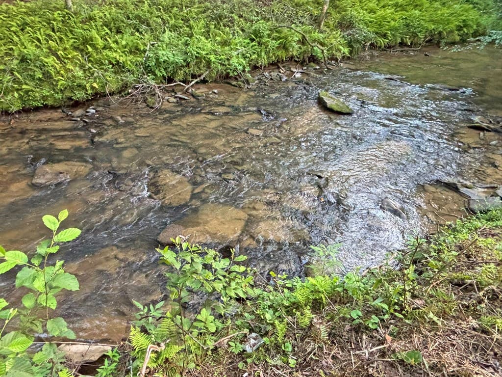 Lot 17 Mt. Springer Road, Ellijay GA 30540 - Photo