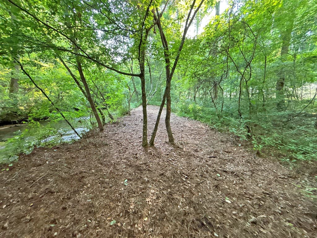 Lot 17 Mt. Springer Road, Ellijay GA 30540 - Photo