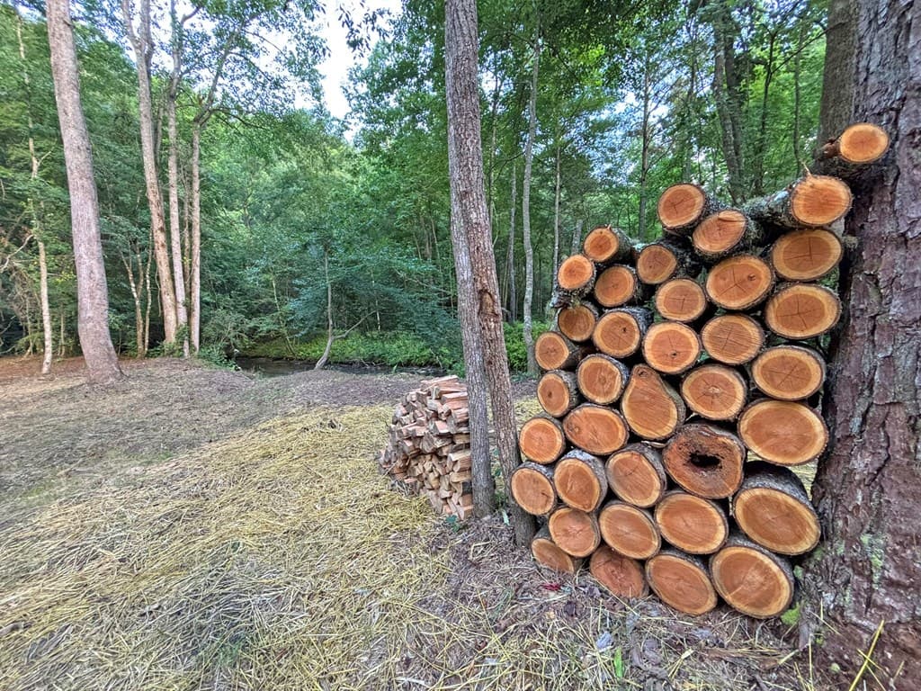Lot 17 Mt. Springer Road, Ellijay GA 30540 - Photo