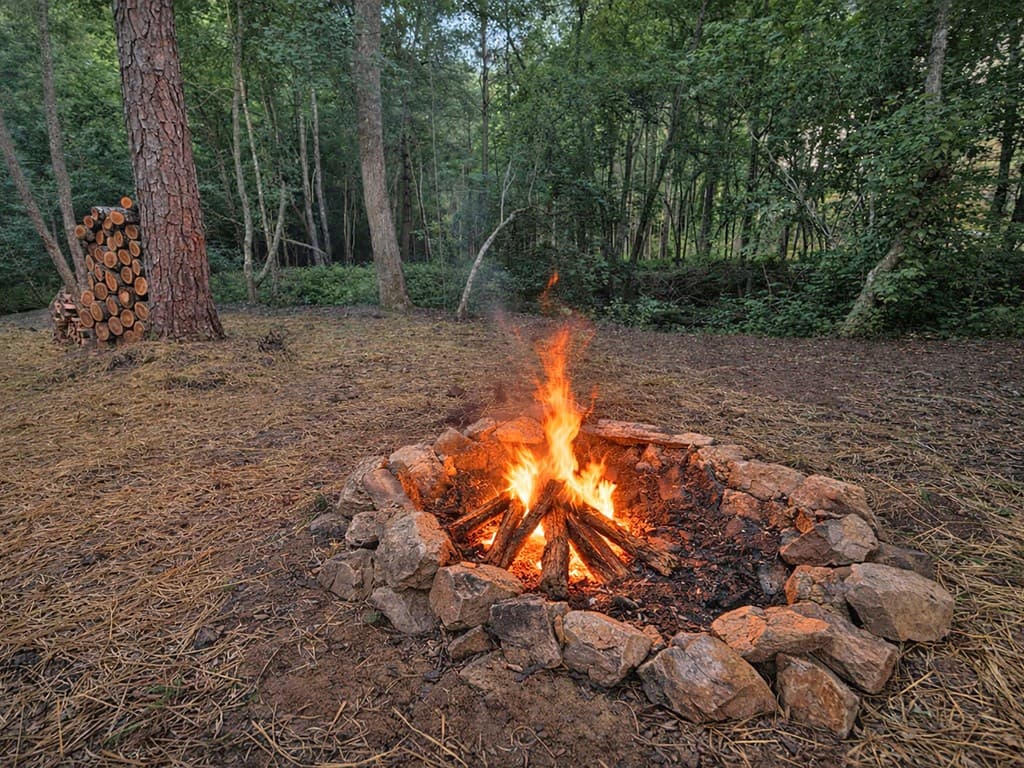 Lot 17 Mt. Springer Road, Ellijay GA 30540 - Photo
