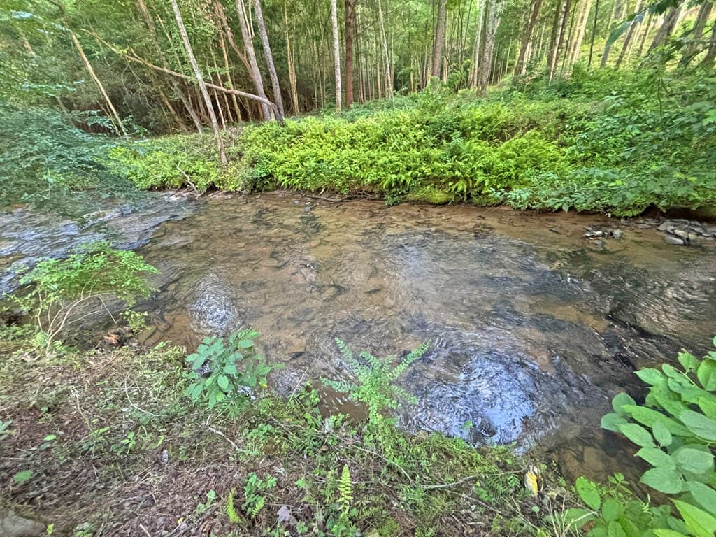 Lot 17 Mt. Springer Road, Ellijay GA 30540 - Photo