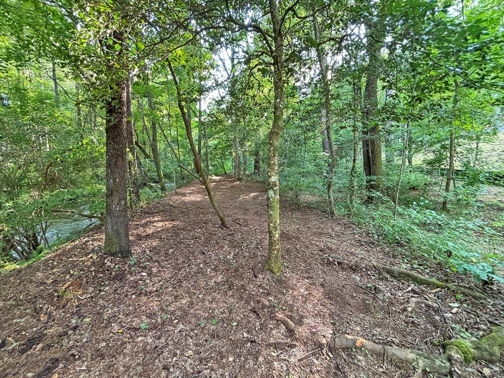 Lot 17 Mt. Springer Road, Ellijay GA 30540 - Photo