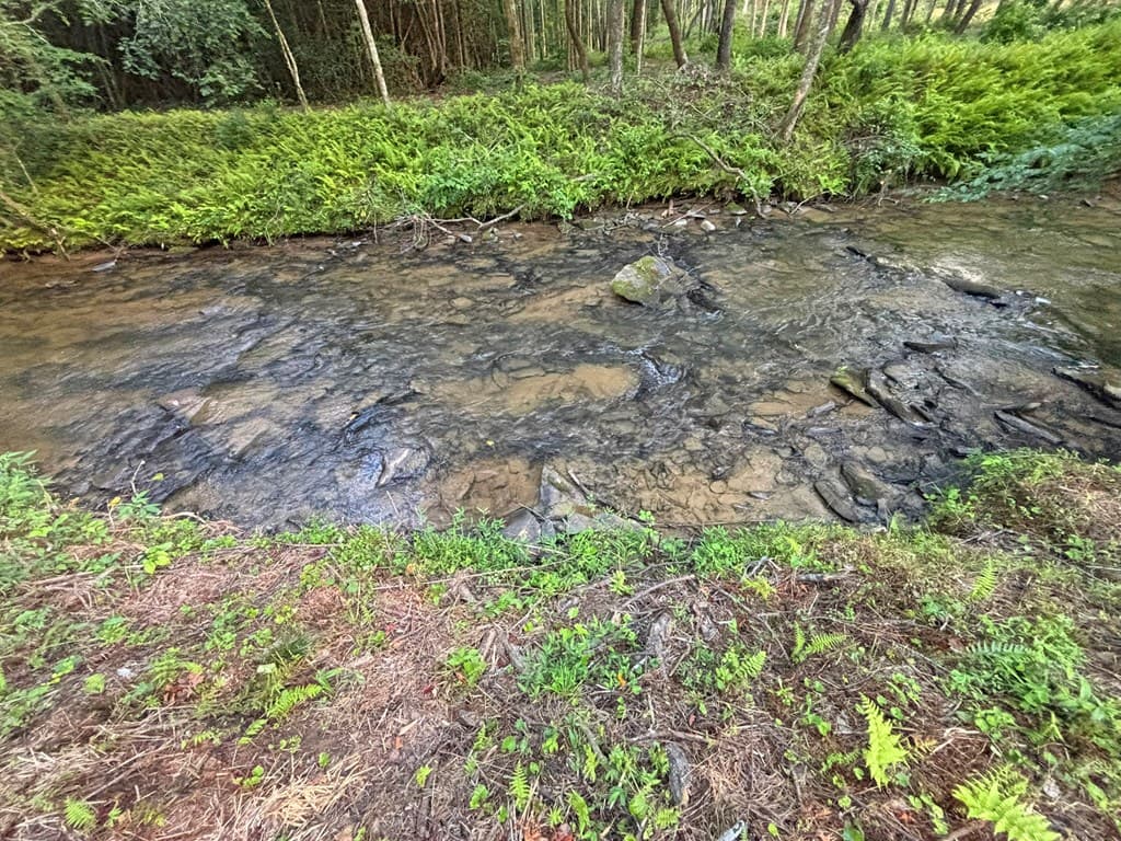 Lot 17 Mt. Springer Road, Ellijay GA 30540 - Photo