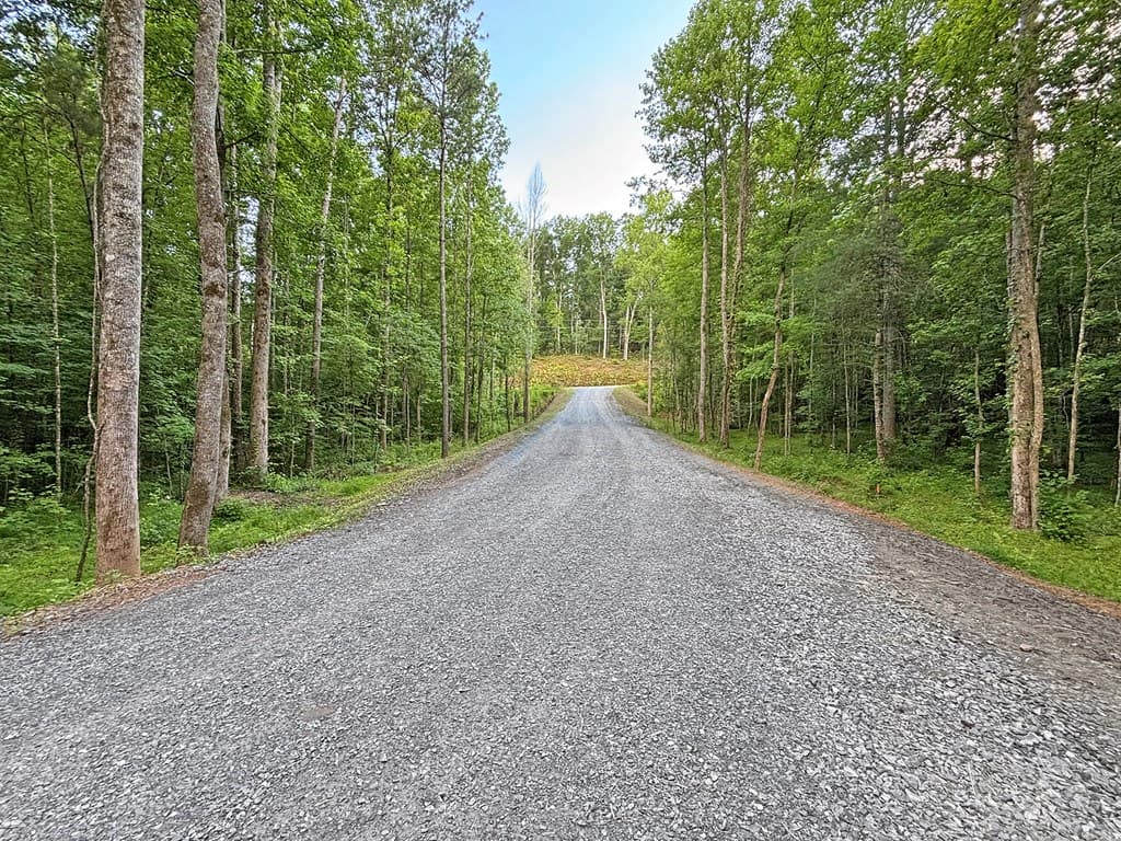 Lot 17 Mt. Springer Road, Ellijay GA 30540 - Photo