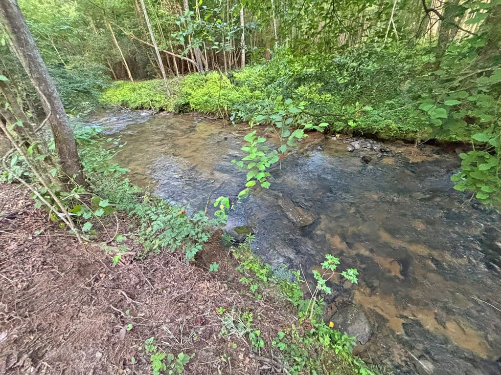 Lot 17 Mt. Springer Road, Ellijay GA 30540 - Photo
