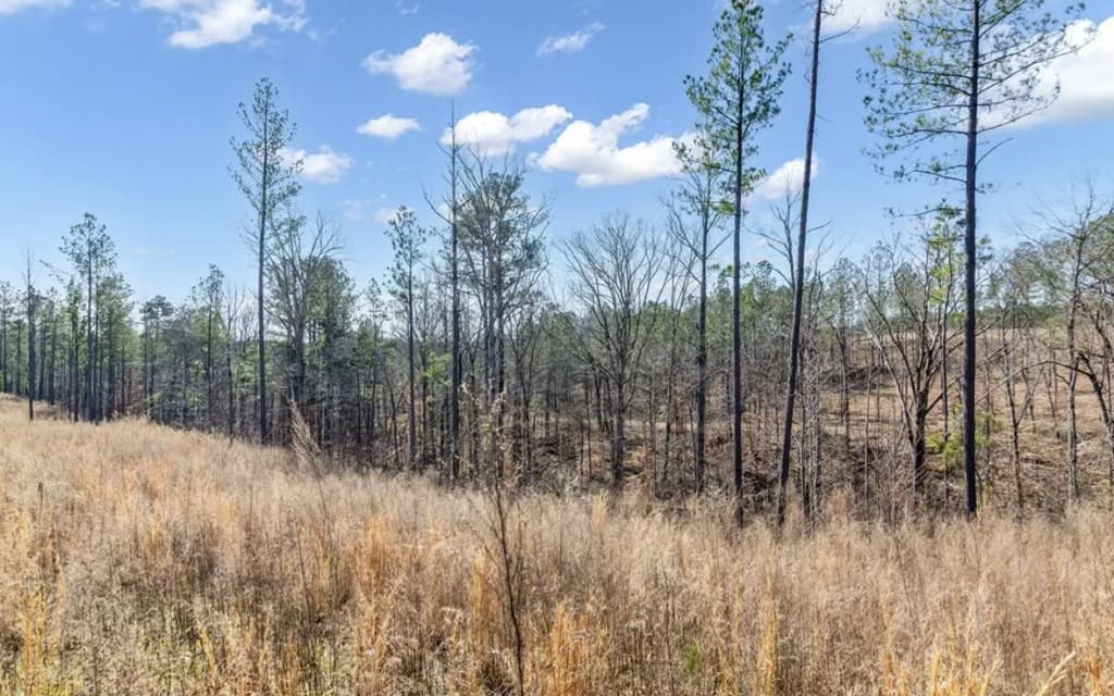 182 Vista Creek Drive, Talking Rock GA 30175 - Photo