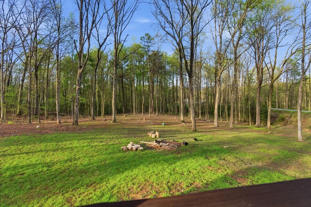 1843 Old Mobile Road, Mccaysville GA 30555 - Photo