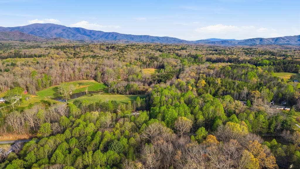 1843 Old Mobile Road, Mccaysville GA 30555 - Photo