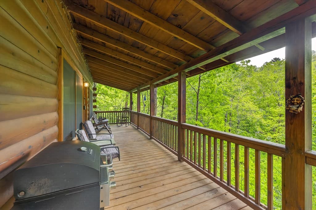 203 Mountain View Drive, Cherry Log GA 30522 - Photo