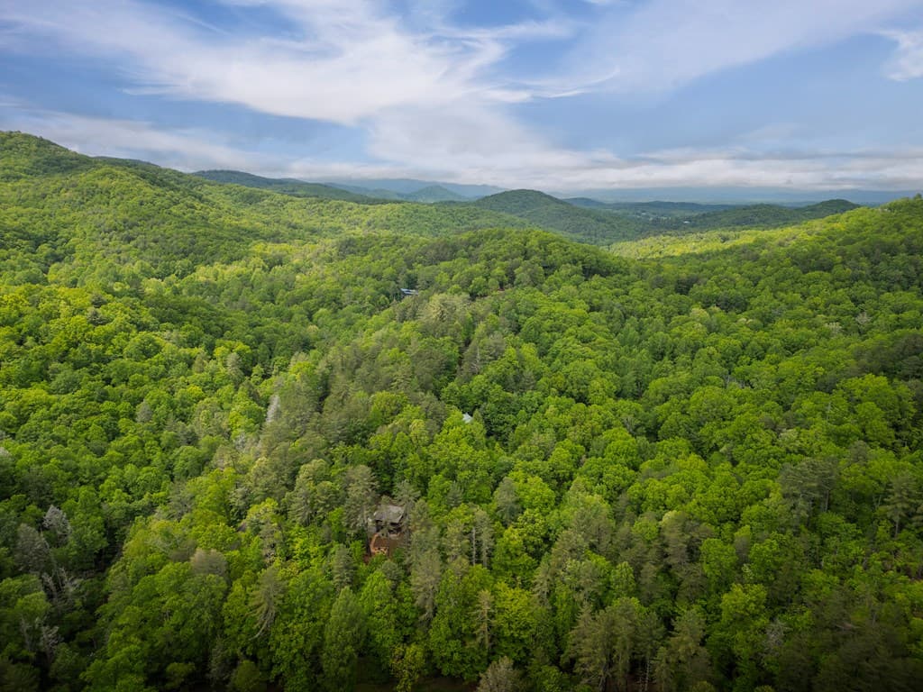 203 Mountain View Drive, Cherry Log GA 30522 - Photo