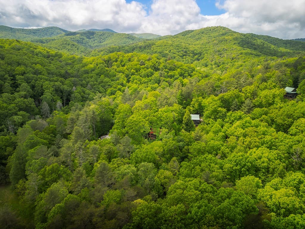 203 Mountain View Drive, Cherry Log GA 30522 - Photo