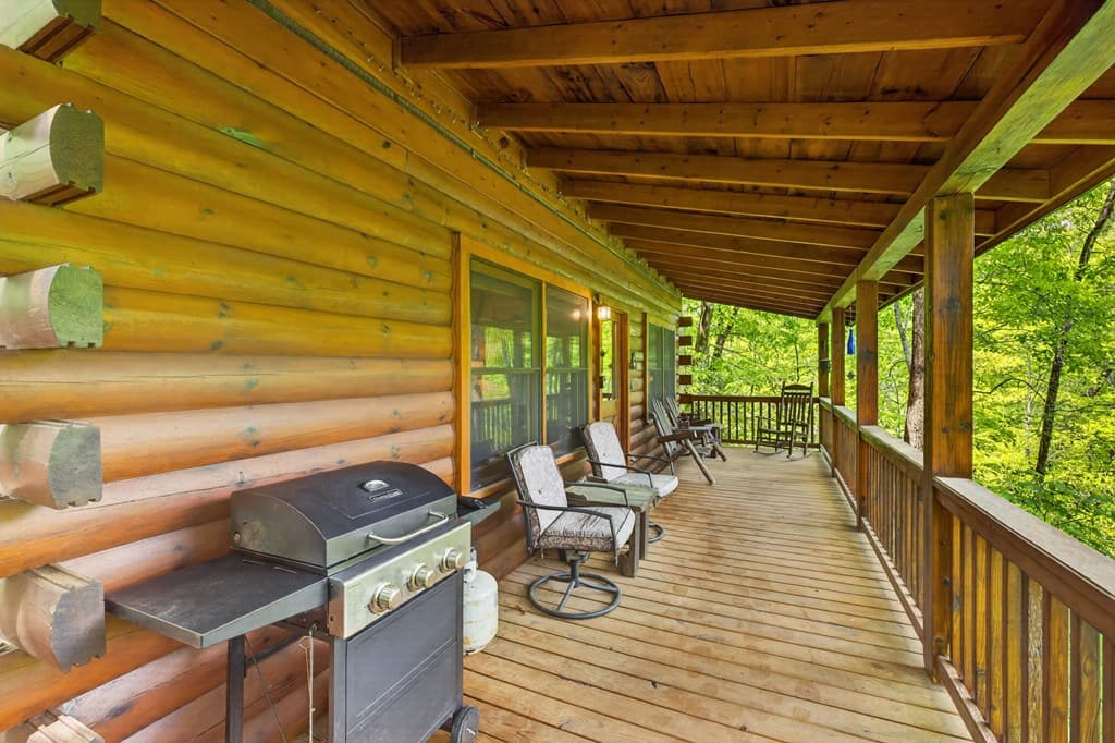 203 Mountain View Drive, Cherry Log GA 30522 - Photo