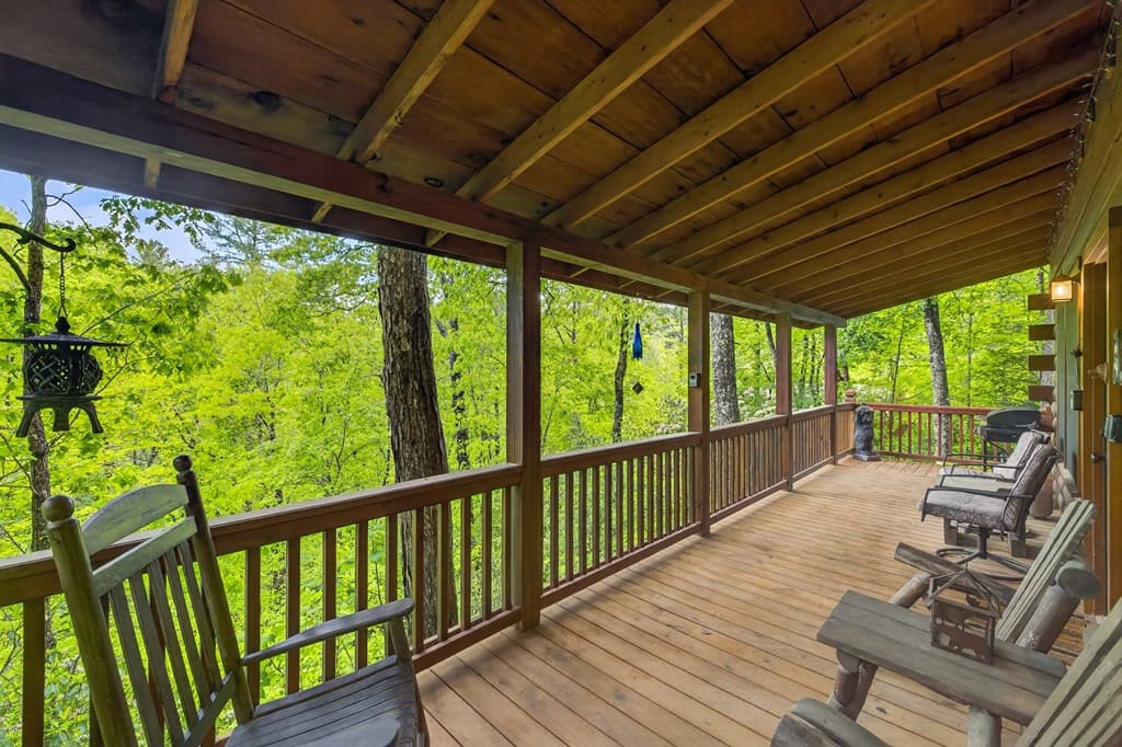 203 Mountain View Drive, Cherry Log GA 30522 - Photo
