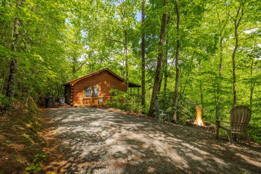 203 Mountain View Drive, Cherry Log GA 30522 - Photo