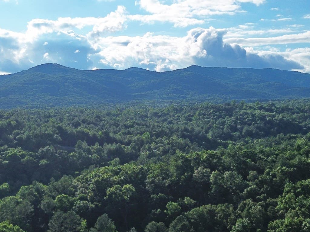 1720 Mt. Springer Road, Ellijay GA 30540 - Photo