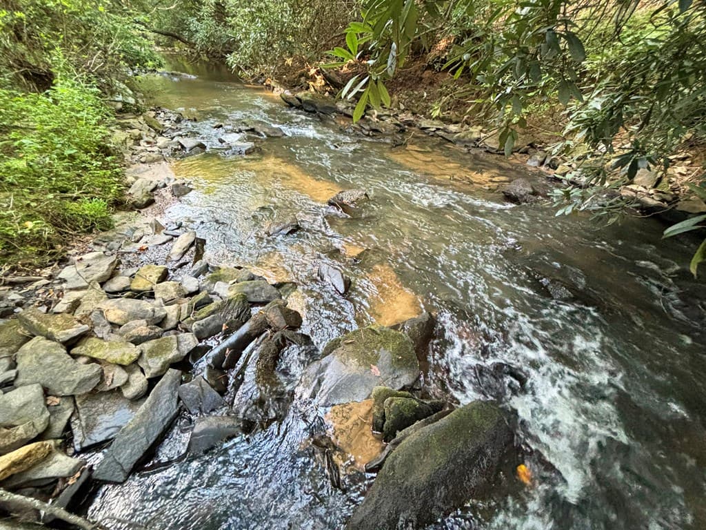 1720 Mt. Springer Road, Ellijay GA 30540 - Photo