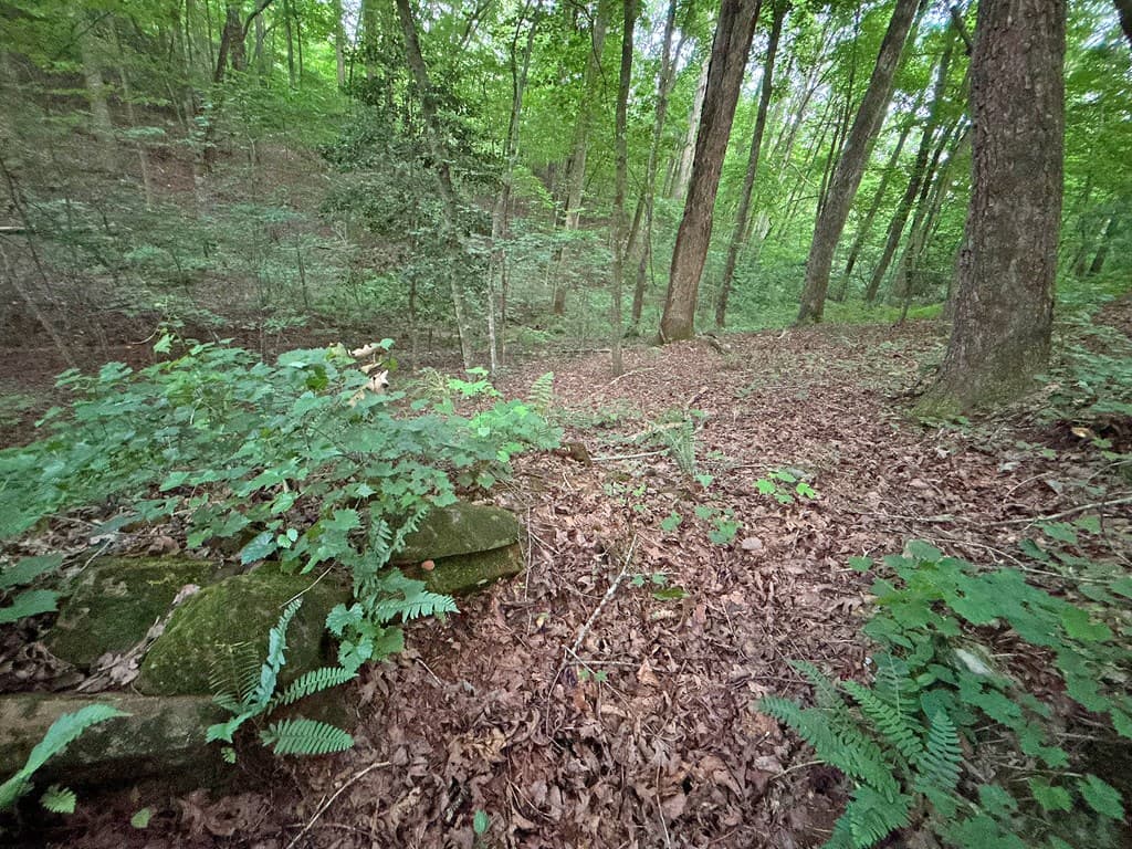 1720 Mt. Springer Road, Ellijay GA 30540 - Photo