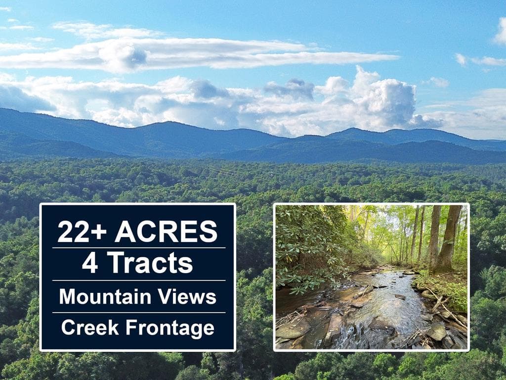 1720 Mt. Springer Road, Ellijay GA 30540 - Photo