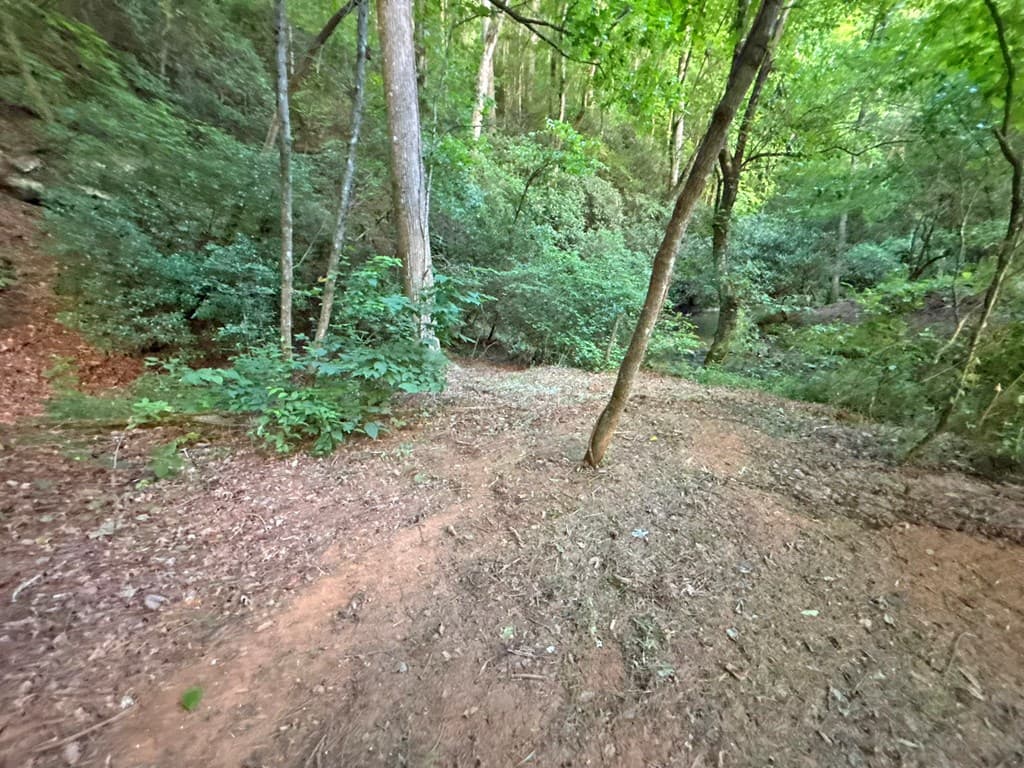 1720 Mt. Springer Road, Ellijay GA 30540 - Photo